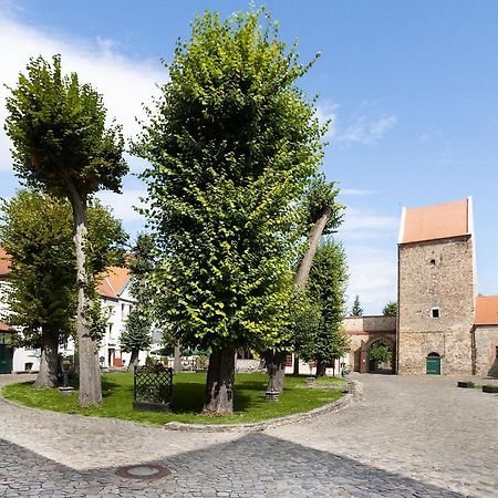 Wasserburg Zu Gommern Eksteriør billede