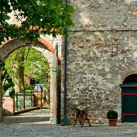 Wasserburg Zu Gommern Eksteriør billede